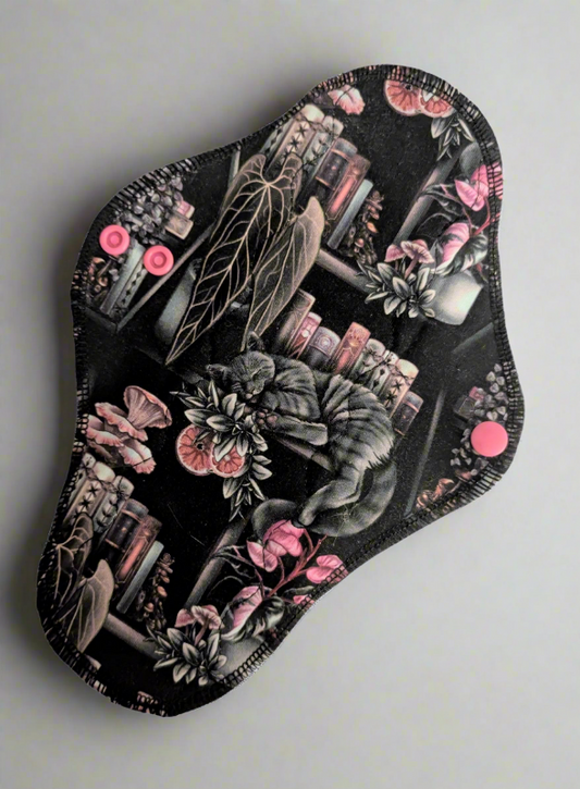 Adorable grey striped cat napping on a book case with books, plants, mushrooms and flowers, black background